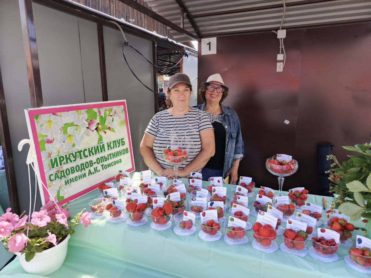 В Школе садоводов Иркутска расскажут, как правильно вырастить землянику и малину