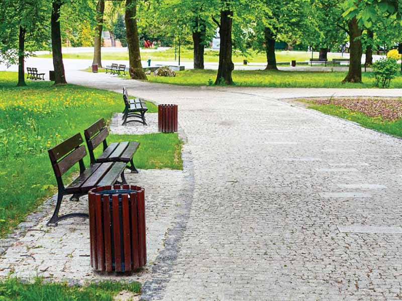 Депутаты Думы и администрация прорабатывают проекты благоустройства сада Томсона