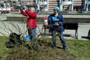 Озеленение сквера 50-летия полёта в космос Ю.А.гагарина