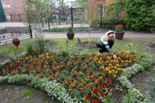 Клубы садоводов и огородников планируют оформить цветочные клумбы на общегородских территориях в Иркутске