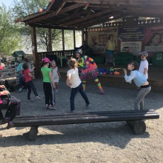 Зоотерапия как способ социальной реабилитации