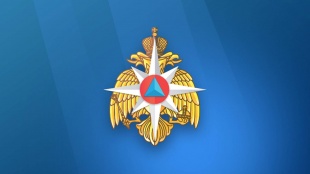 «О защите населения и территорий от чрезвычайных ситуаций природного и техногенного характера»