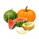 Иркутский городской клуб «Садовод и огородник» приглашает на занятия