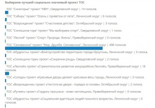 Завершилось голосование за лучший социально значимый проект территориального общественного самоуправления города Иркутска