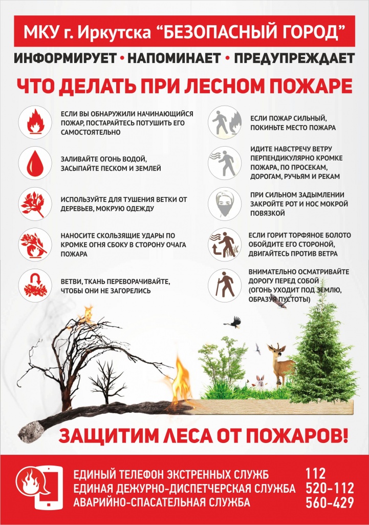 Что делать при лесном пожаре.jpg